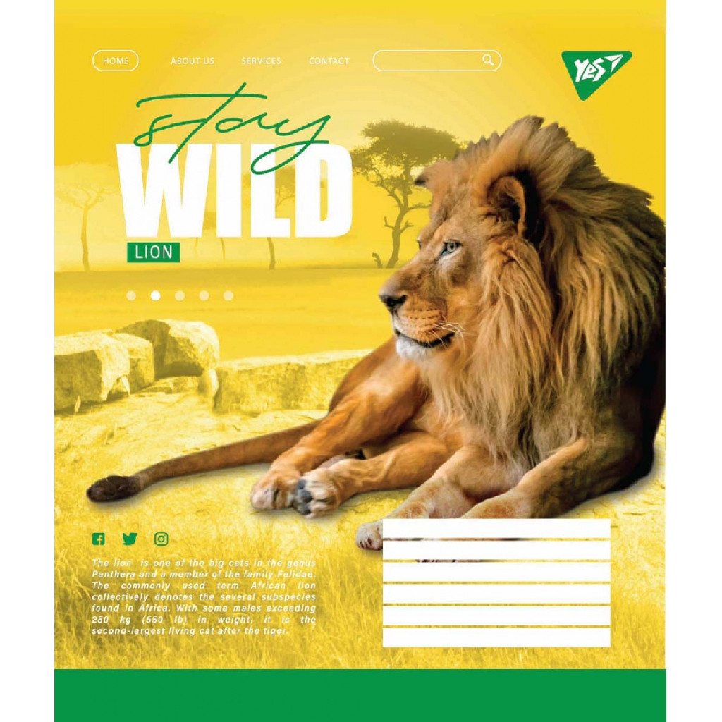 Зошит 18 кл. YES "Stay wild", 764980
