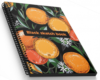 Блокнот А5 "Black sketch book" four, 901449 TM Profiplan  
