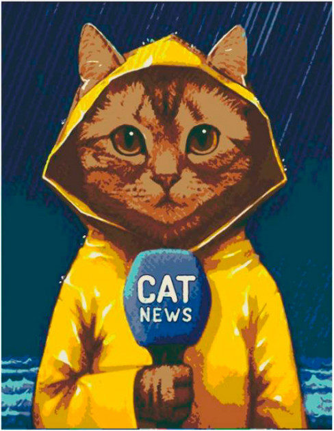 Набор, техника акриловый живопись по номерам "Cat news", Rosa Start