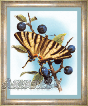 Схема для вышивания бисером СБ-030 21*26,5 см на авторской канве ТМ "Чарівна мить"