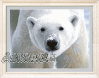 Схема для вышивания бисером СБ-166 40*30 см на авторской канве ТМ "Чарівна мить"