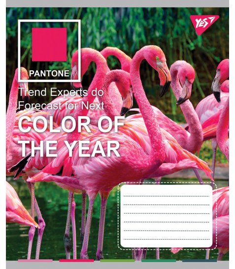 Зошит 24 кл YES "Pantone", 764097