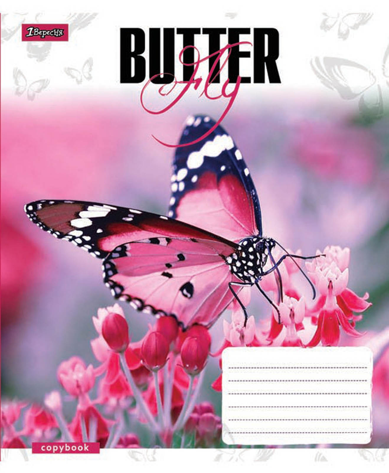 Тетрадь 48 кл. 1В Butterflys -17, 760392 (6014)