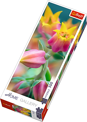 Пазл "300 Home Gallery" - Цветущие цветы, Trefl, 75005