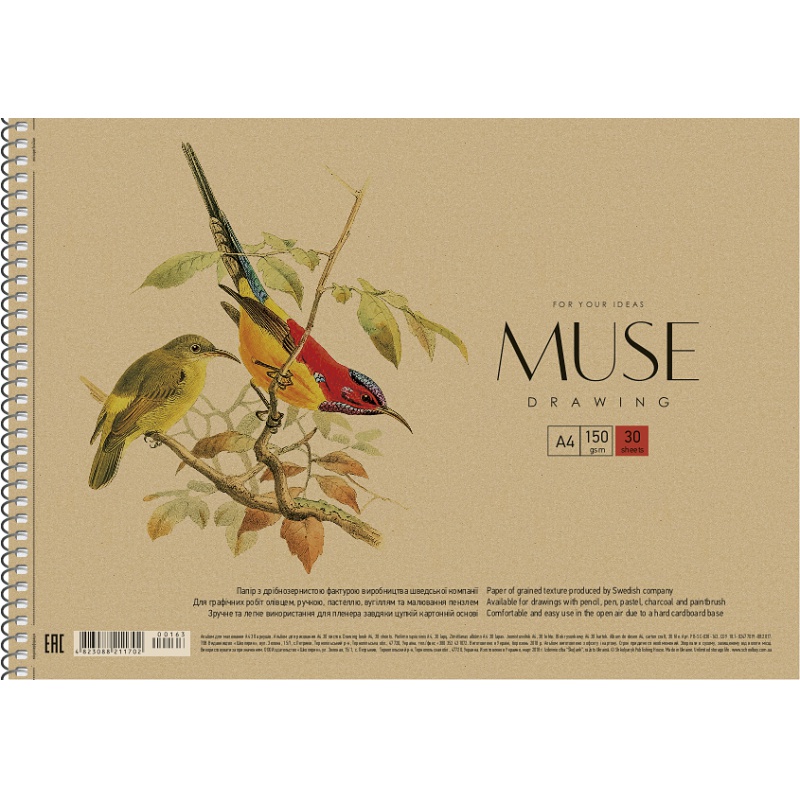 Альбом для малювання А4 30 арк. "Muse" крафт картон на спіралі (1702)