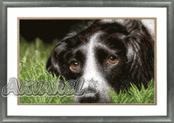 Схема для вышивания бисером СБ-154 30*19 см на авторской канве ТМ "Чарівна мить"