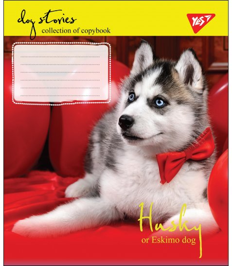 Тетрадь 48 кл. YES "Dog Stories", 764759