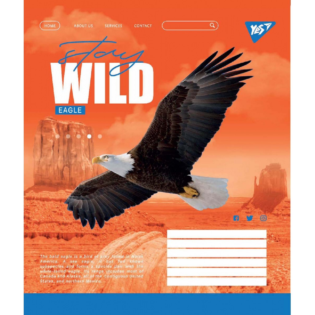Зошит 36 кл. YES Stay wild, 765012