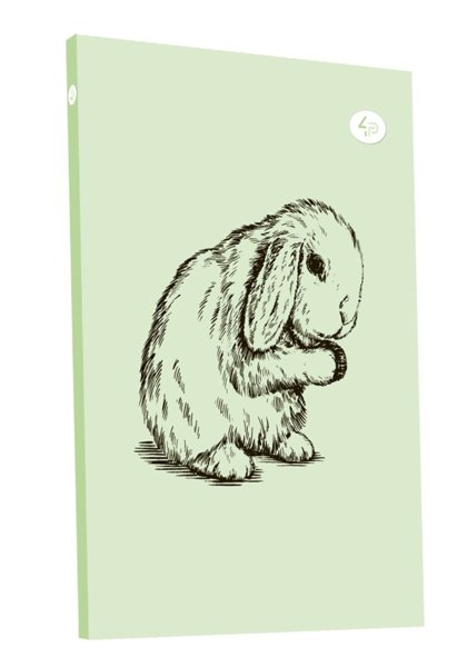Блокнот В6 "Animal note", rabbit, 50674, TM Profiplan 