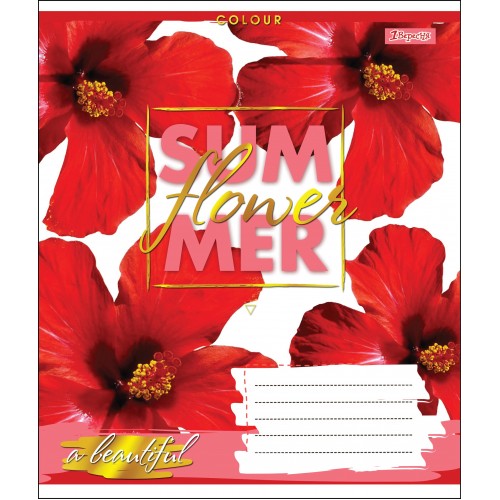 Зошит 18 кл. 1В Summer Flower, 764539