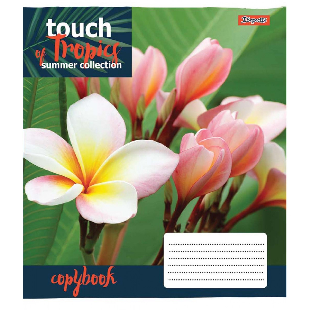 Зошит 96 лін. 1В Touch tropics, 765494