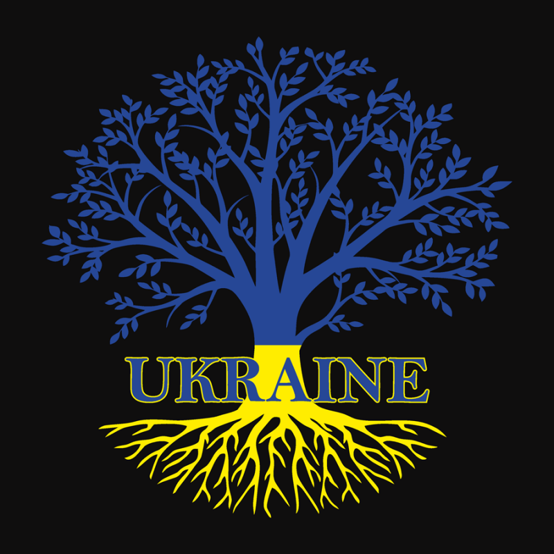 Полотно на картоні з контуром, Патріотичні "Ukraine", 30*30, бавовна, акрил, Rosa Start