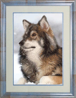 Схема для вышивания бисером СБ-141 20*29 см на авторской канве ТМ "Чарівна мить"