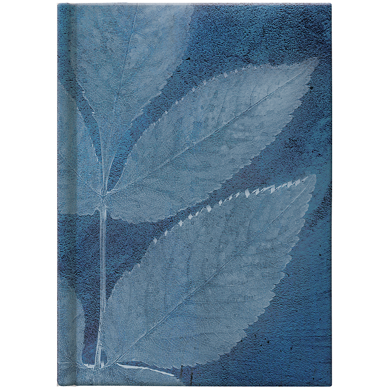 Ежедневник 2022 карманный, Графо Leaves, 73-736 68 162