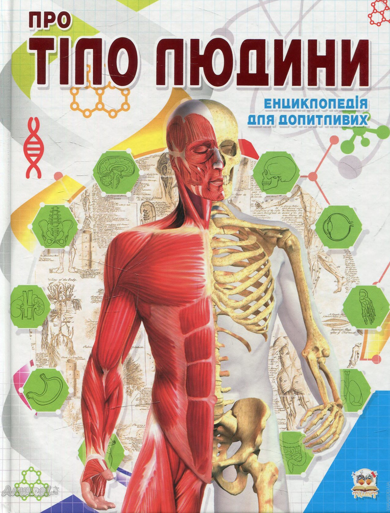 Книга "Енциклопедія для допитливих А5: Про тіло людини" (у) (2561) 3