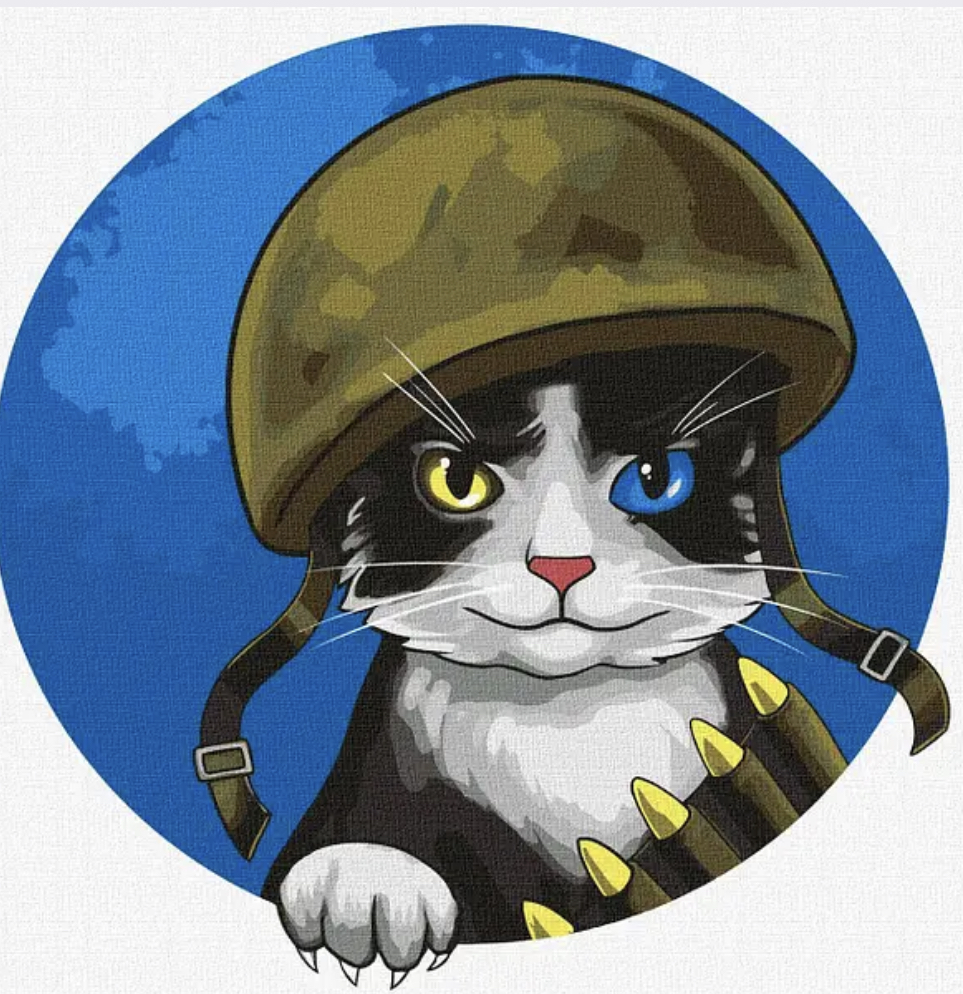Картина по номерам 30*30 см "Воинственный котик", KHO4393