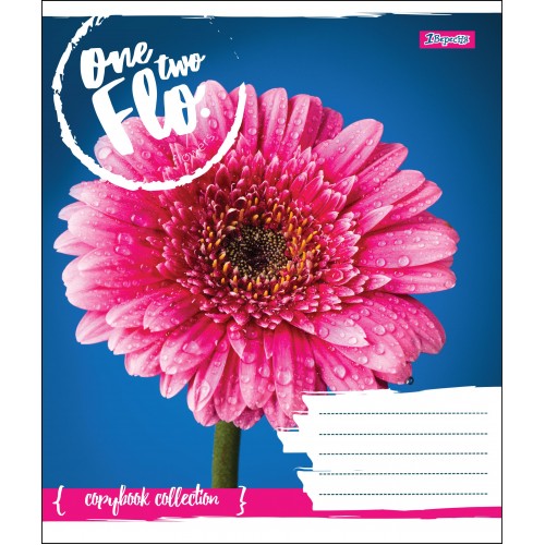 Зошит 36 лін. 1В One Two Flo, 764610