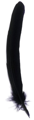 Гусяче перо для письма 28 см, синій, 23110T