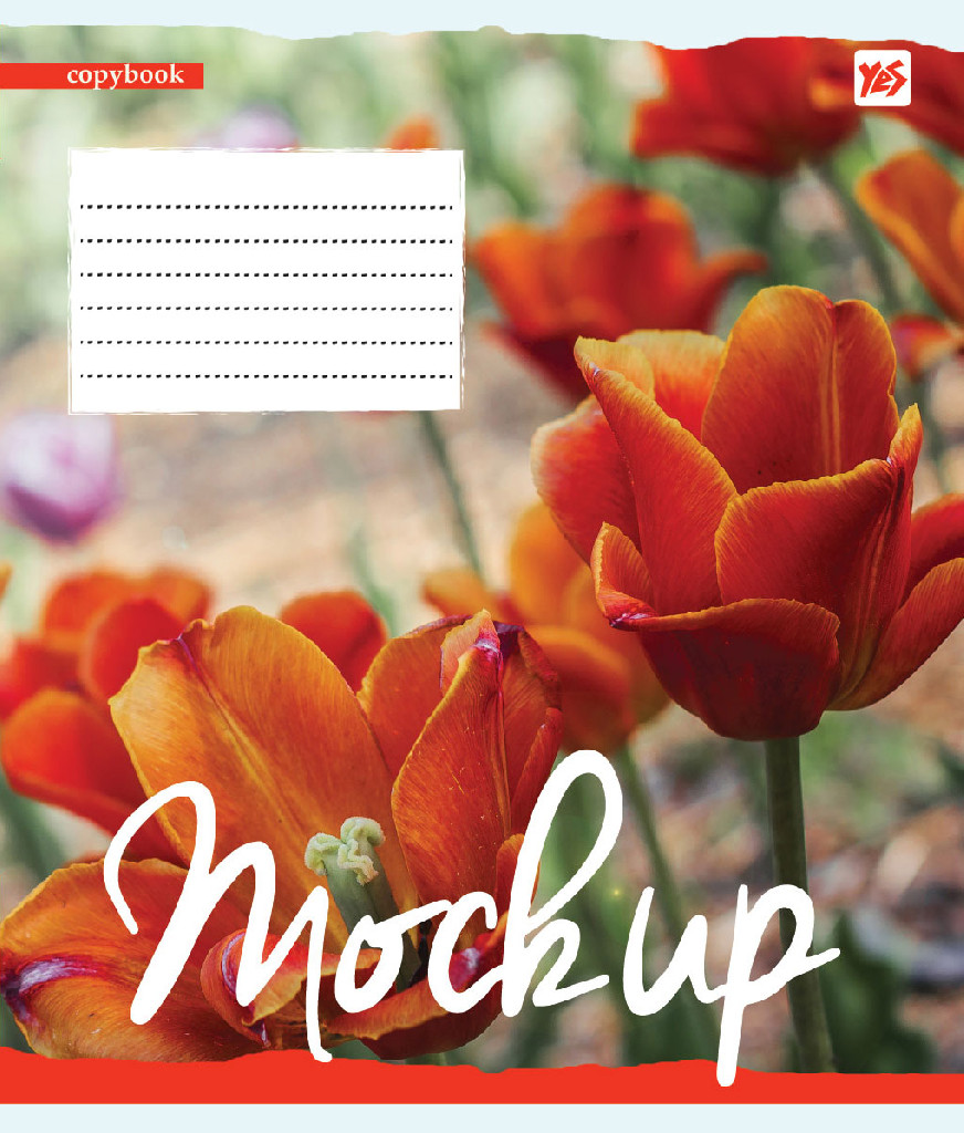 Зошит 18 кл YES Moch Up -18, 761506 (6280)