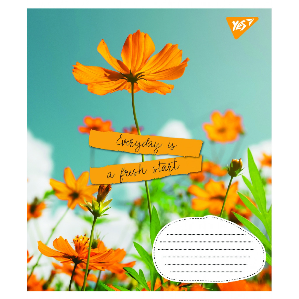 Зошит 36 кл. 1В Summer flowers, 765950