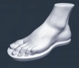 Заготовка из гипса Анатомическая фигура Стопа Геракла, 364/АР-332