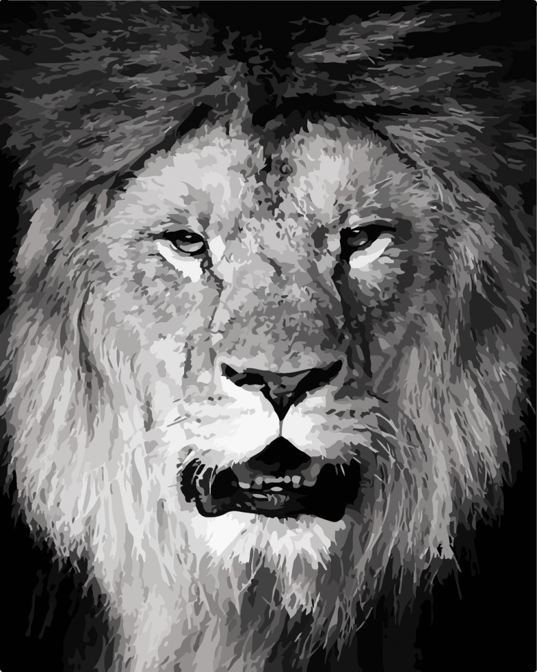 Набор для росписи по номерам 40*50 см "Big Boss", 11611-AC