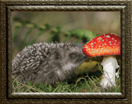 Схема для вышивания бисером СБ-162 30*23 см на авторской канве ТМ "Чарівна мить"