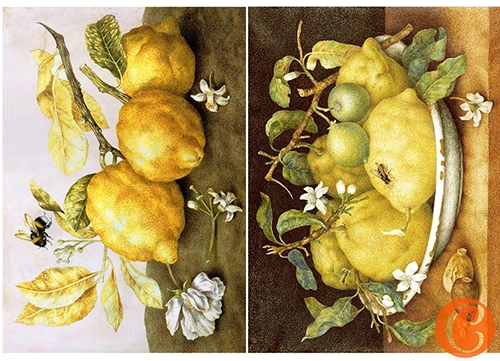 Карта декупажна А4 Соковиті лимони, 45 г/м², 00610