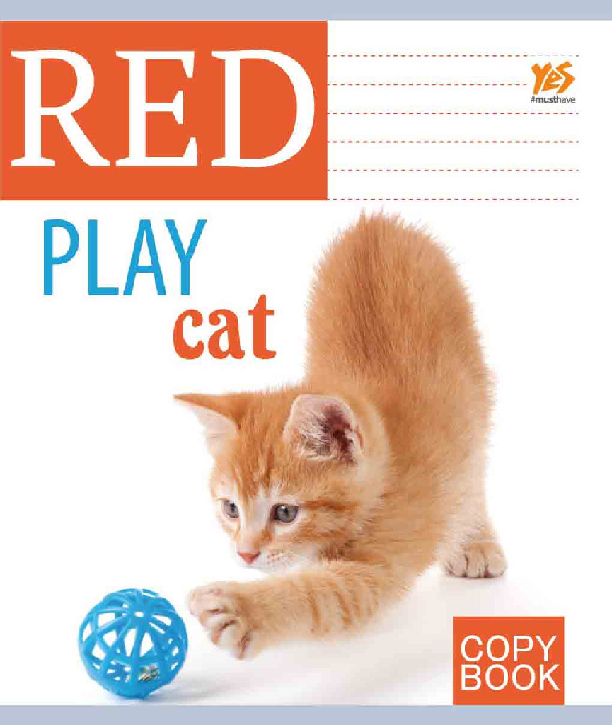 Зошит 48 кл. YES Red cat-17, 761201 (1322)
