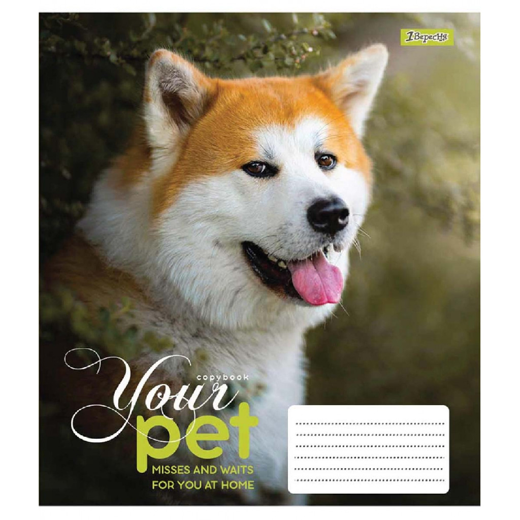 Тетрадь 24 кл. 1В Dog loyality, 765439