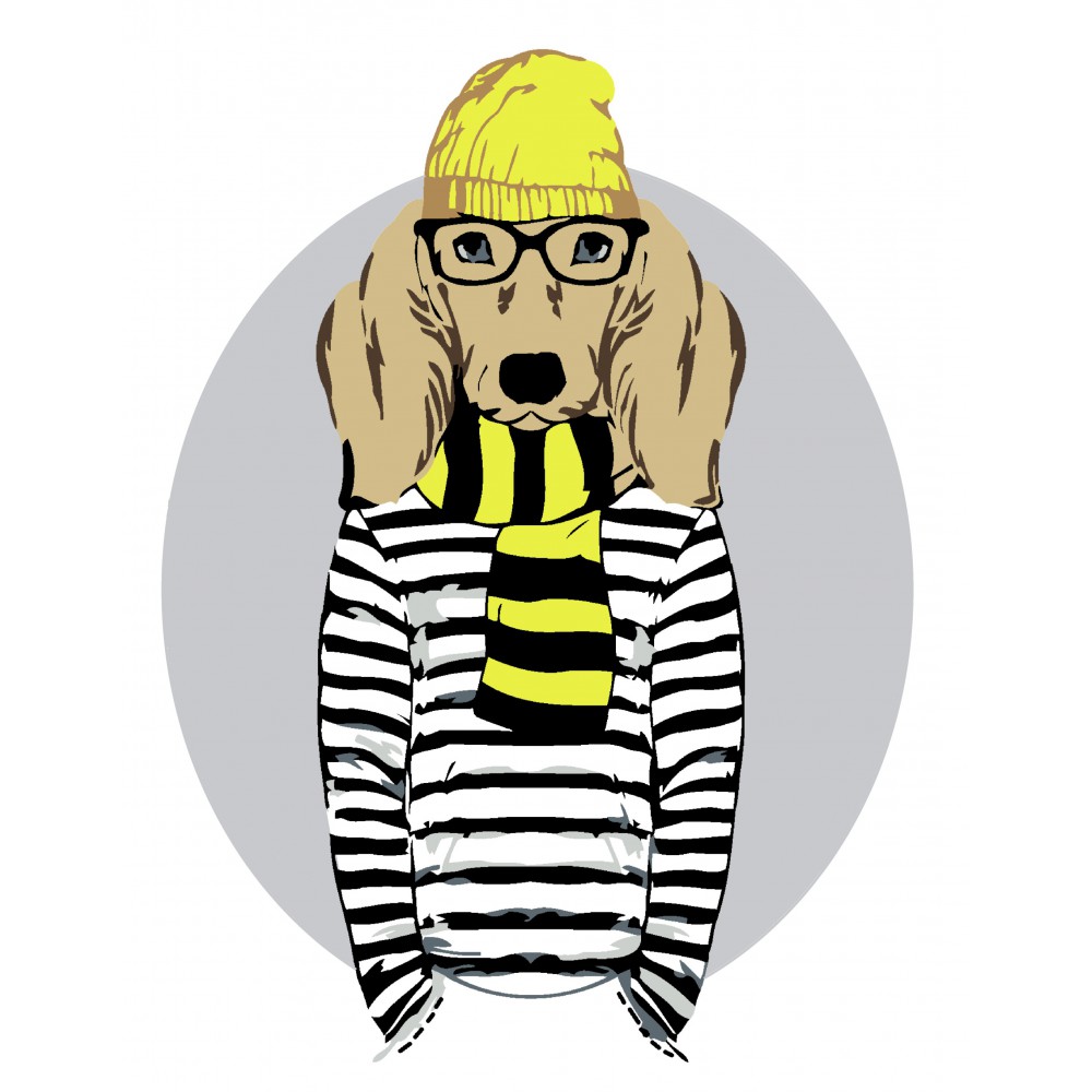 Картина по номерам "Stylish Dog" 35*45 см, Rosa Start