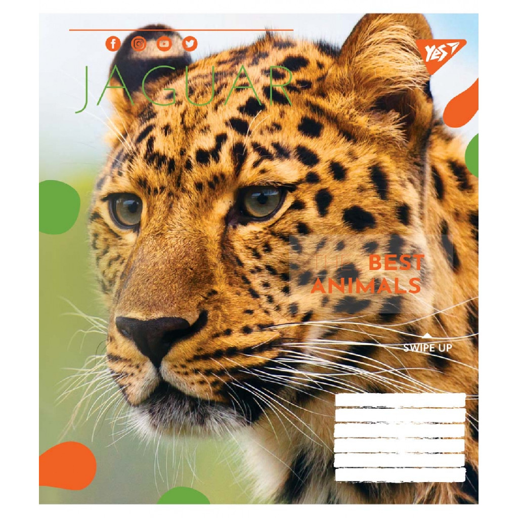 Зошит 24 кл. YES Animal, 764987