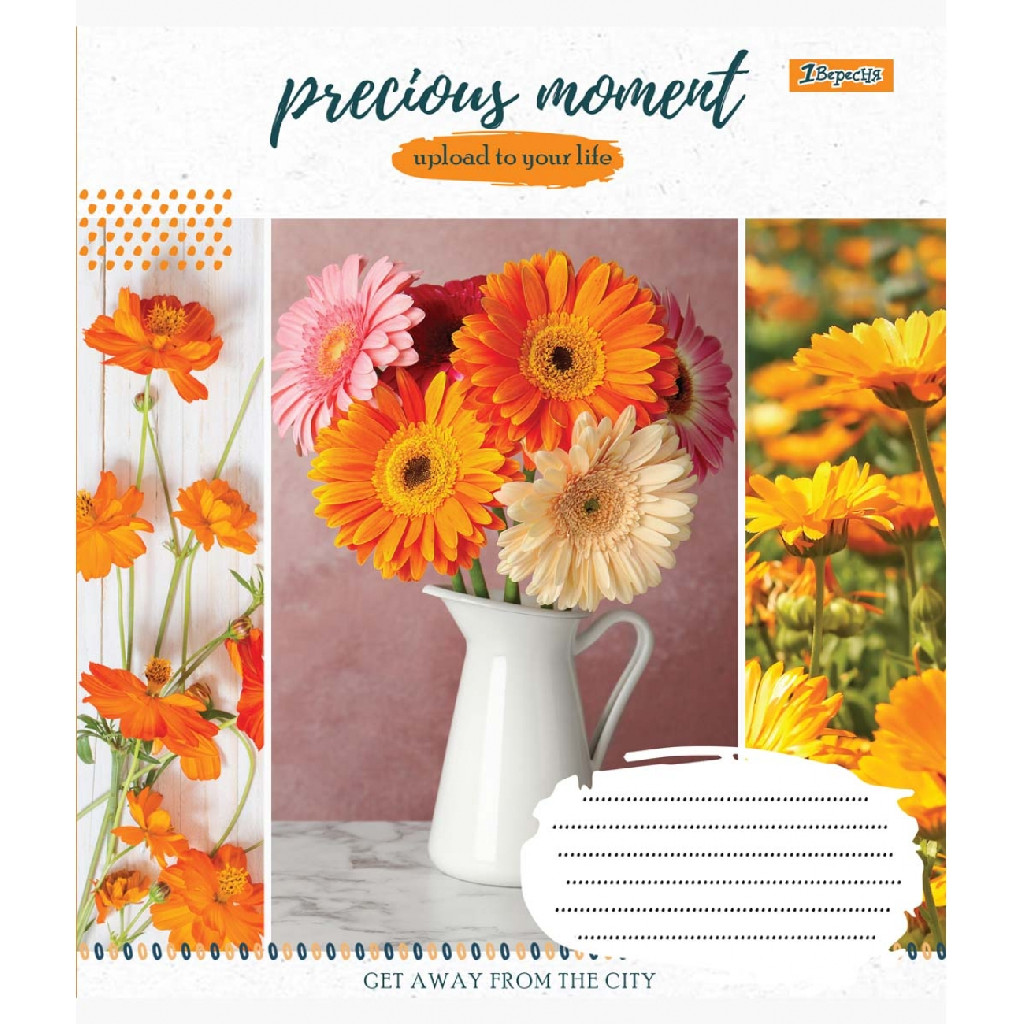 Зошит 48 кл. 1В Precious moment, 764942
