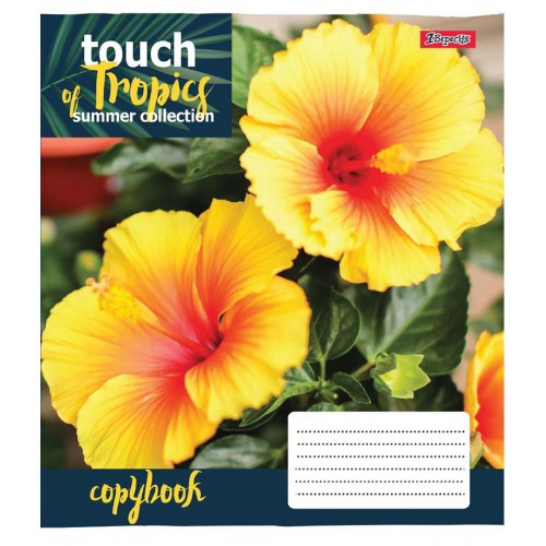Зошит 18 кл. 1В Touch tropics, 765428