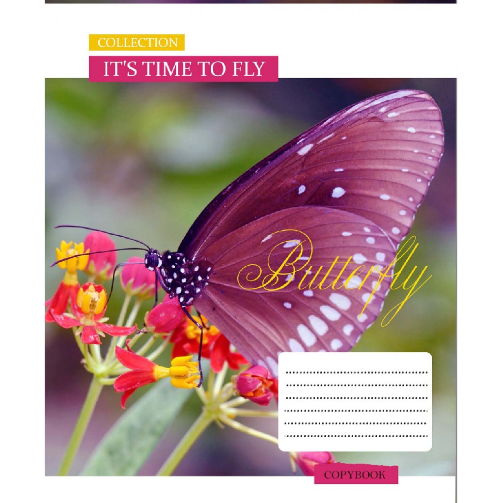 Тетрадь 18 кл. 1В ForeTime to fly, 765663
