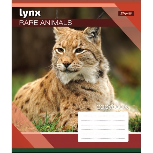 Тетрадь 24 лин. 1В Rare Animals, 764583