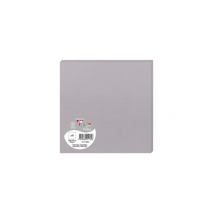 Заготівка для листівок Pollen 160*160 мм/210 г, Koala grey/Сірий, 1132C