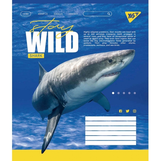 Зошит 60 кл. YES Stay wild, 765045