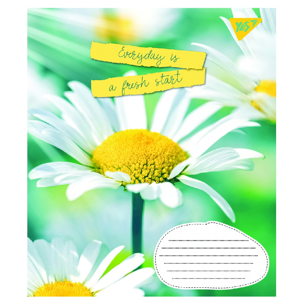 Зошит 96 кл. 1В Summer flowers, 766120