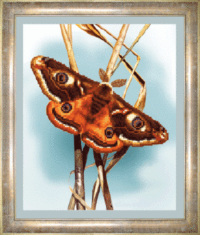 Схема для вышивания бисером СБ-031 21*25,5 см на авторской канве ТМ "Чарівна мить"