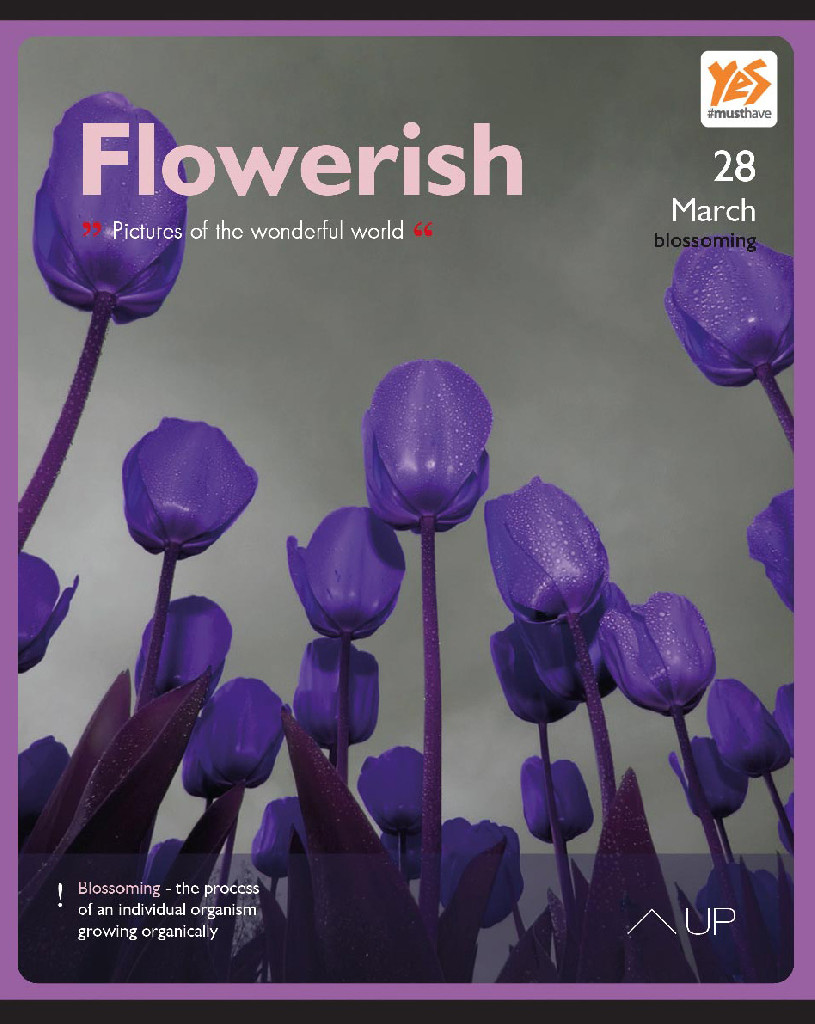 Зошит 96 лін. YES Flowerish-17, ірідіум, 761219 (1179)