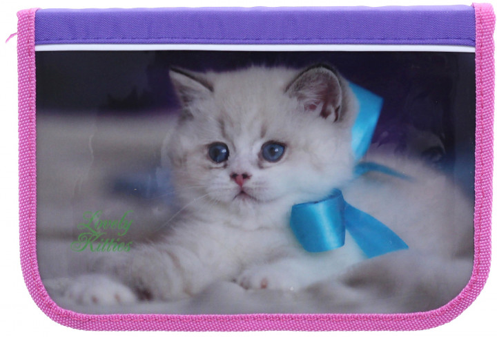 Пенал "Lovely Kitties", 2 від., 99501, Class