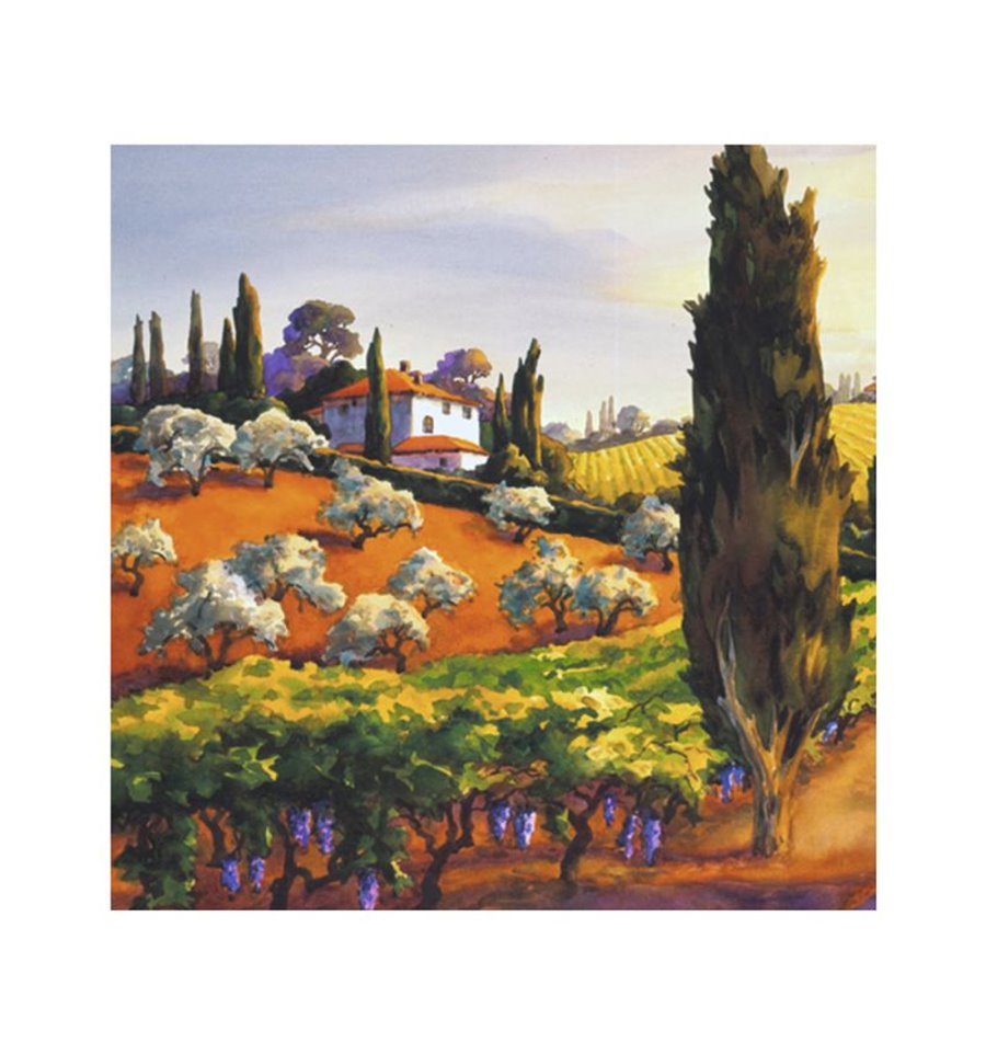 Декупажні серветки "Тоскана", 33*33 см, ti-flair