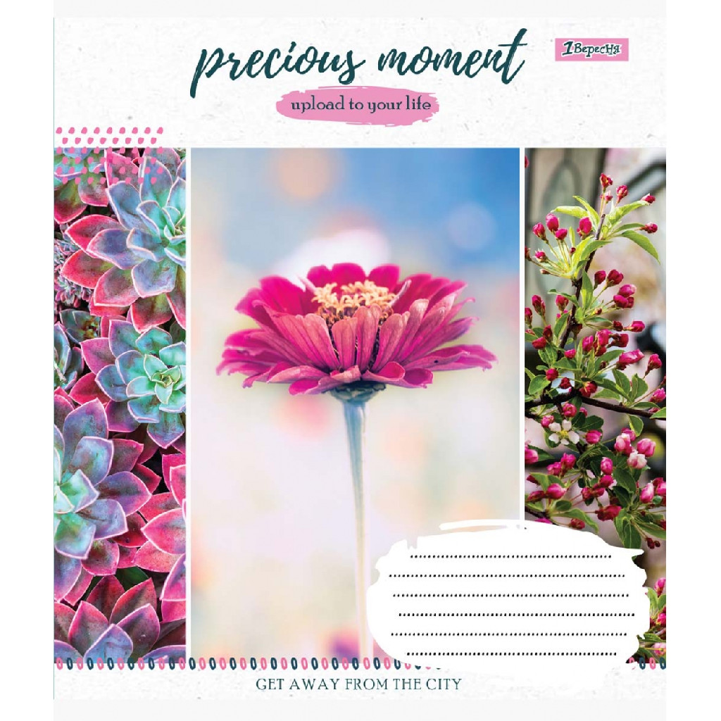 Зошит 36 кл. 1В Precious moment, 764927