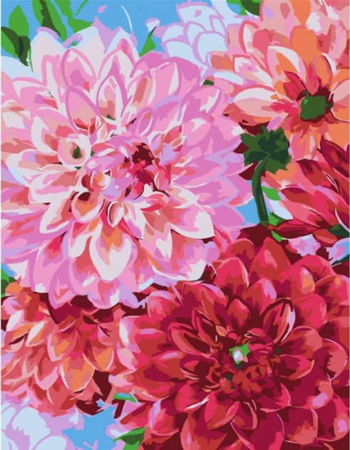 Картина по номерам "Цветы георгины" 35*45 см, Rosa Start