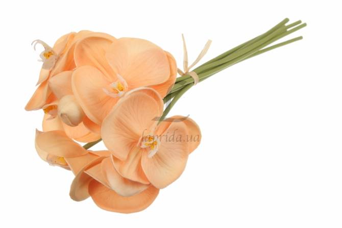 Орхідея декоративна, помаранчева, 51-14481