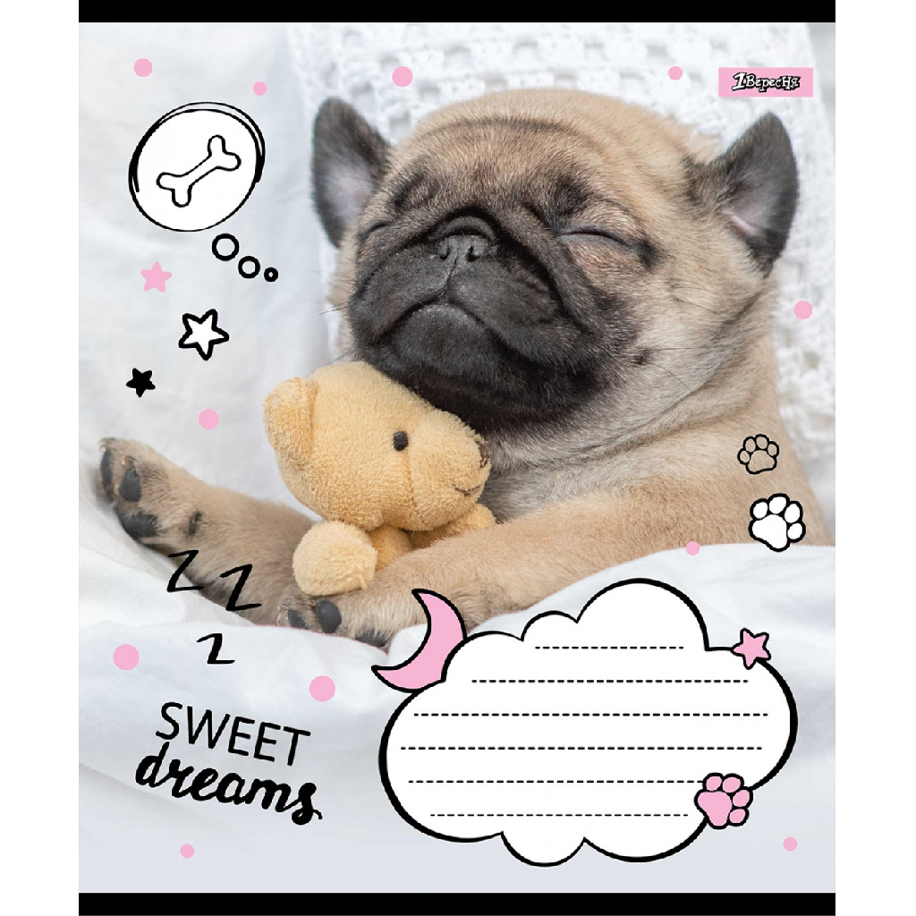 Тетрадь 24 лин. 1В Sweet dreams, 765905