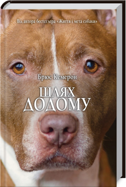 Книга "Кэмерон Б. Путь домой" (у) (0893)