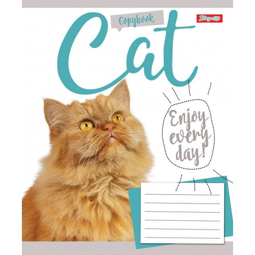 Зошит 18 лін. 1В Cat, 764070