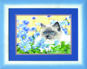 Схема для вышивания бисером СБ-242 32,5*23,5 см на авторской канве ТМ "Чарівна мить"